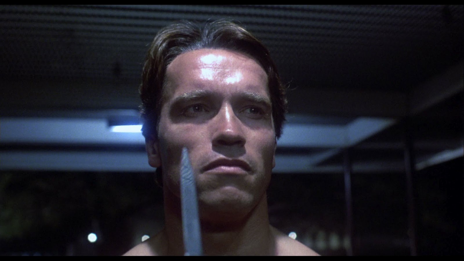 Terminator 3 full movie 1984 torrent 32 sonatas de beethoven barenboim torrent